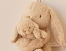 Load image into Gallery viewer, Frankie the Hugging Bunny - Caramel 30cm
