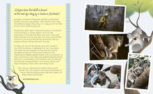 Load image into Gallery viewer, Fluffles: The Brave Koala Who Held Strong Through a Bushfire