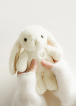 Load image into Gallery viewer, Little Penelope - Sunshine 15cm