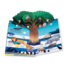 Load image into Gallery viewer, Ultimate Spotlight: Savanna Animals