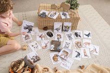 Load image into Gallery viewer, Animal Alphabet Flash Cards