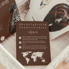 Load image into Gallery viewer, Animal Alphabet Flash Cards