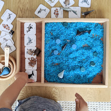 Load image into Gallery viewer, Ocean Memory Card Game