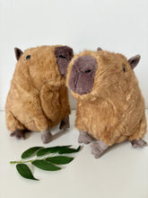 Load image into Gallery viewer, Clyde Capybara
