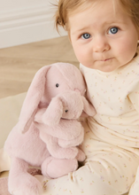 Load image into Gallery viewer, Frankie the Hugging Bunny - Blossom 30cm
