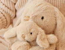 Load image into Gallery viewer, Frankie the Hugging Bunny - Caramel 30cm

