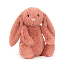 Load image into Gallery viewer, Bashful Sorrel Bunny (Medium)
