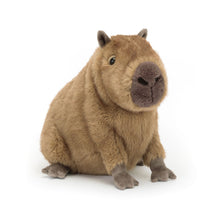 Load image into Gallery viewer, Clyde Capybara
