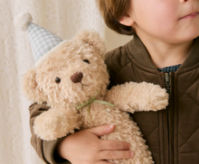 Load image into Gallery viewer, Birthday Arthur - Gingham
