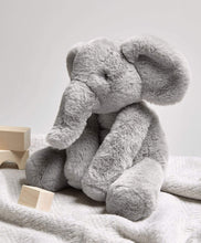 Load image into Gallery viewer, Welcome to the World Soft Toy - Archie Elephant
