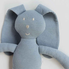Load image into Gallery viewer, Organic Snuggle Bunny - Zen
