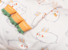 Load image into Gallery viewer, Cho Snuggy Buddy Pillow (Momo Bunny: Medium 18 x 38cm)
